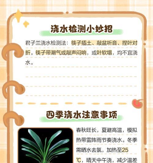 君子兰彩兰的浇水技巧有哪些？
