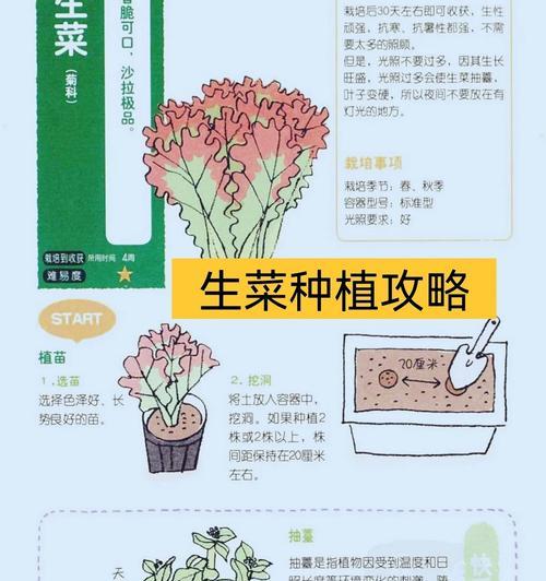 播种后能否立即照灯及其原因是什么？