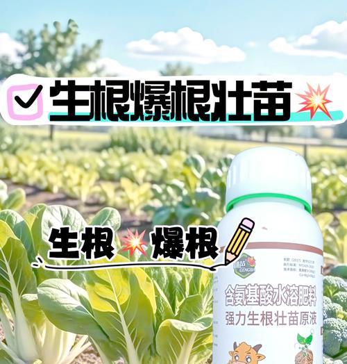 观赏植物超级生根剂种类有哪些？