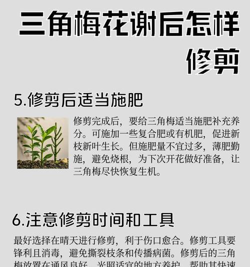 三角梅粗杆子修剪技巧是什么？