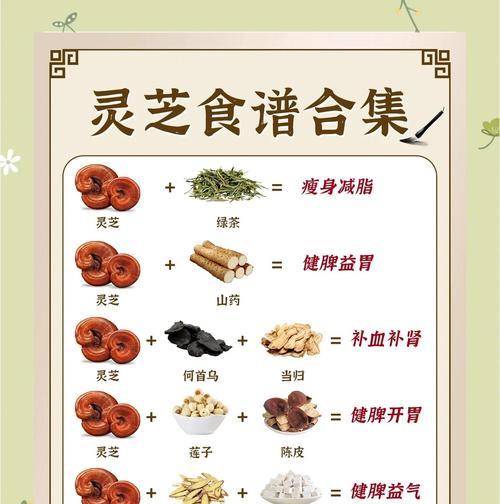 如意灵芝栽培技术有哪些要点？