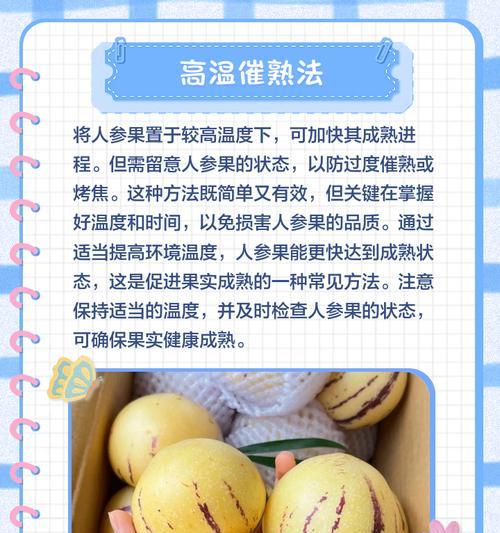 人参果浇水的正确方法是什么？如何避免过量浇水？