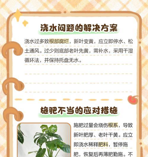 细榕树叶子发黄的原因及解决方法是什么？