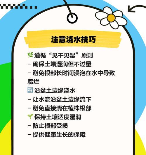 君子兰叶面擦拭的最佳用水是什么？