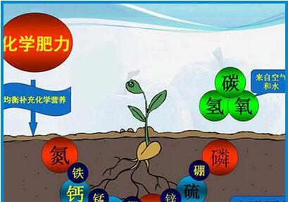 自制钙磷水肥料的方法是什么？有什么好处？