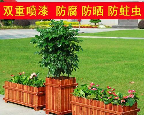 柠檬天竺葵水养的方法是什么？