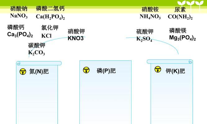 在家如何自制钠肥料？有哪些窍门可以分享？