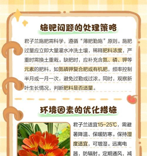 君子兰暴晒后叶子发黄如何处理？