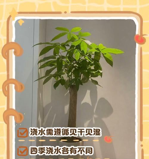 姐弟种花浇水正确方法是什么？如何科学浇水？