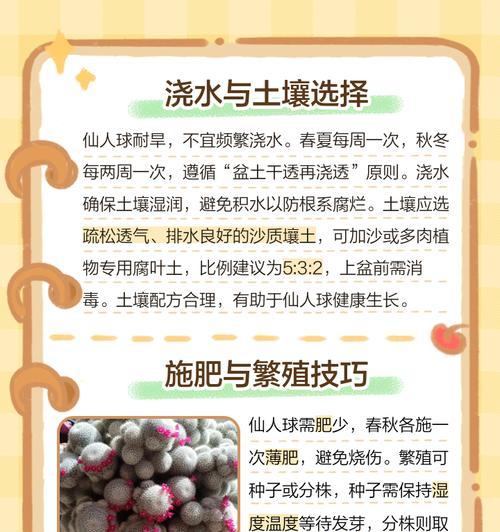 仙人球花期的浇水方法是什么？如何正确浇水？