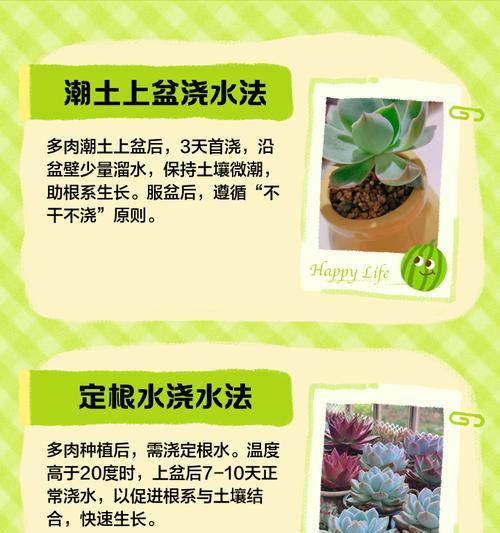 如何用陶粒来判断植物的浇水时机？