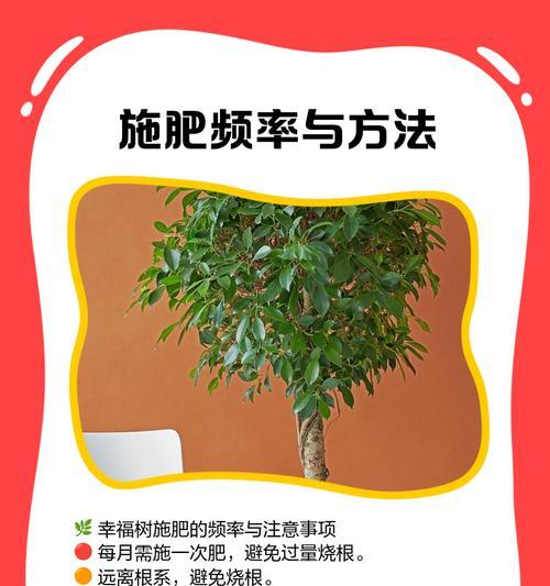 秋天草地施肥技巧有哪些？如何正确施肥以促进草坪生长？