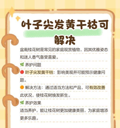 金桂小苗叶子发黄的处理方法是什么？