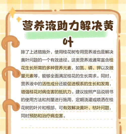 金桂小苗叶子发黄的处理方法是什么？