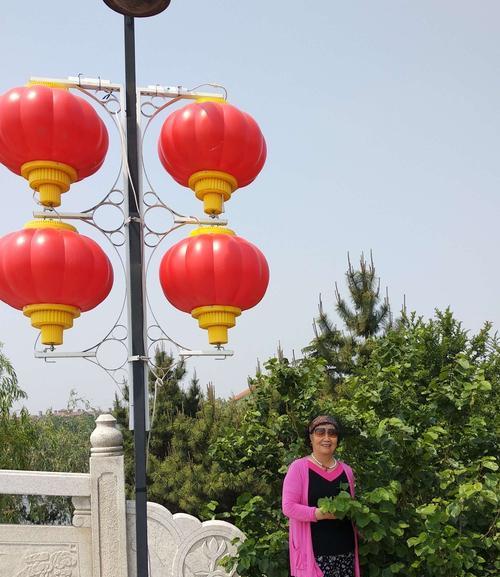 君子兰挂灯笼的美观方法是什么？