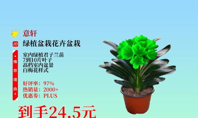 在办公桌上摆放君子兰有哪些好处？