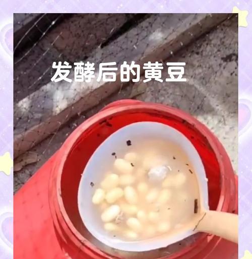 自制肥料的方法是什么？家里面如何制作有机肥料？
