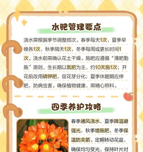 君子兰结出的红果果如何种植？有哪些注意事项？