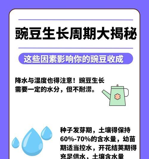 秋豆子的最佳播种时间是什么时候？