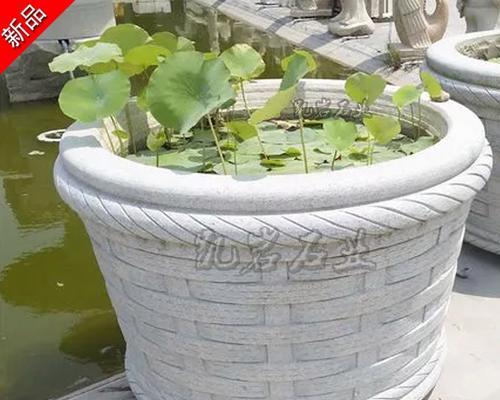 盆景配花钵的技巧有哪些？如何选择合适的花钵？