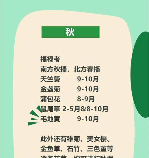 秋花播种的最佳时机是什么时候？