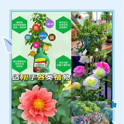 木本植物生根液的正确使用方法是什么？使用生根液的好处有哪些？