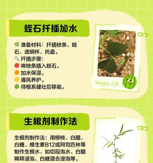 木本植物生根液的正确使用方法是什么？使用生根液的好处有哪些？