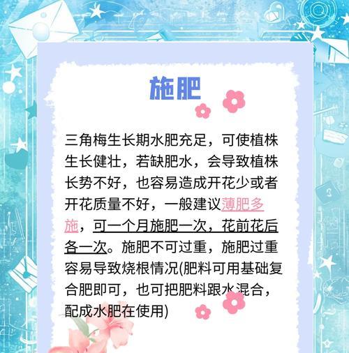 三角梅根部养护方法？如何促进三角梅根系的健康生长？