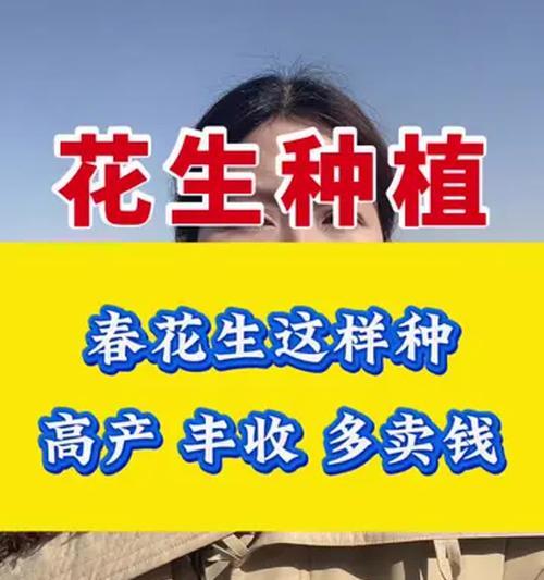 浙江春花生的最佳播种时间是什么时候？