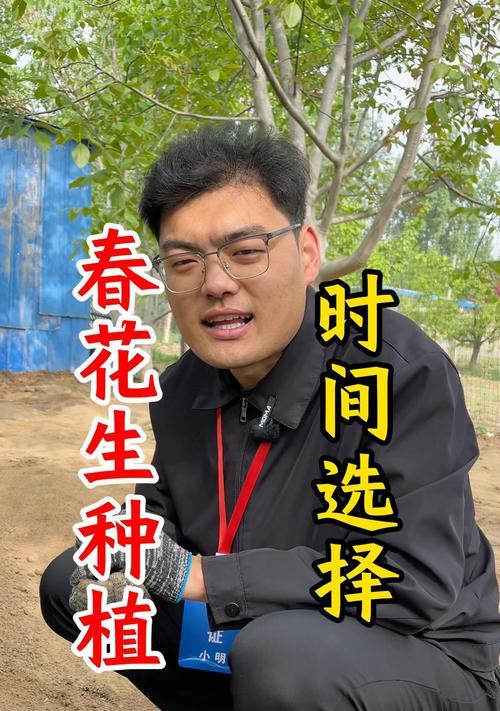 浙江春花生的最佳播种时间是什么时候？