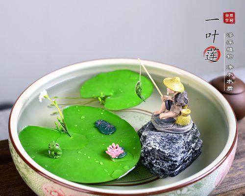摆件水生植物有哪些种类？如何选择适合的水生植物？