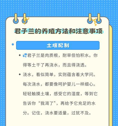 君子兰有哪些益处和潜在的坏处？