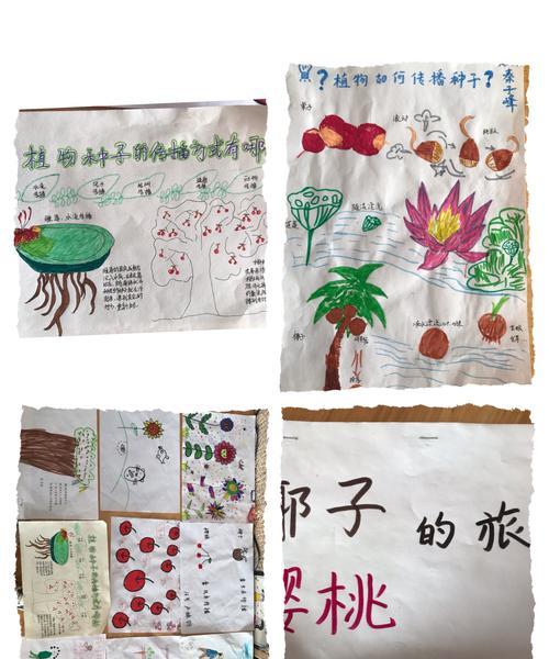 松树如何传播种子？种子传播的自然机制是什么？