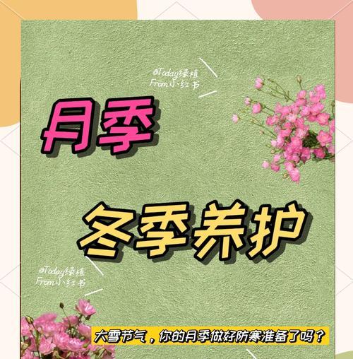 蔚蓝月季冬季过冬的技巧和注意事项是什么？