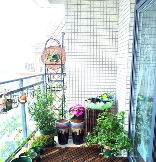 阳台种植什么花卉最吸引人？选择标准是什么？