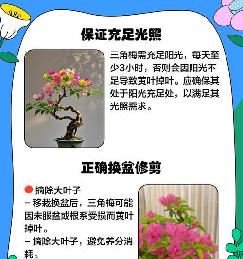 盆景因缺水变黄如何补救？