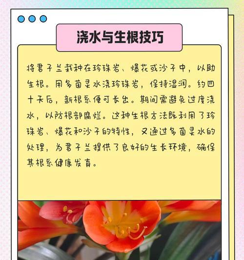 君子兰根太大怎么处理？有哪些处理方法？