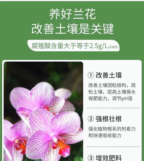 什么缓释肥适合君子兰？如何正确使用？