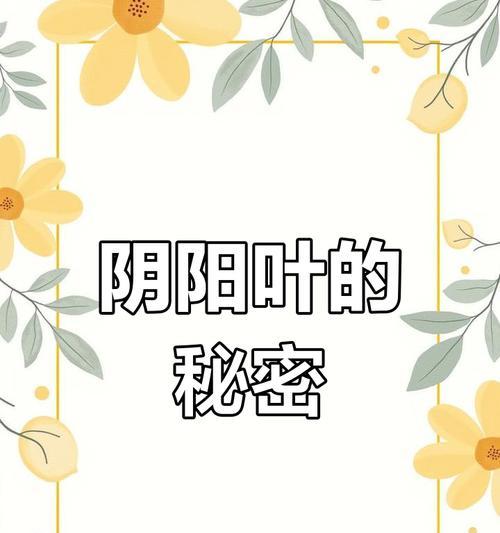 半风荷栽培的技术要点是什么？
