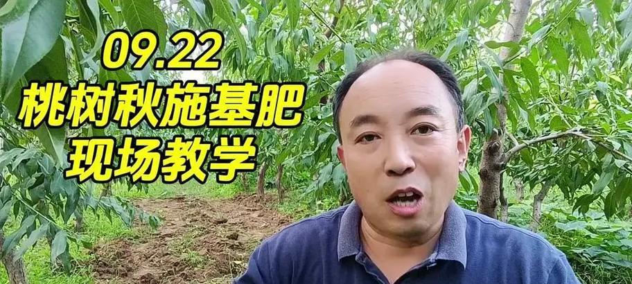 紫薇树施肥技巧是什么？如何正确施肥？