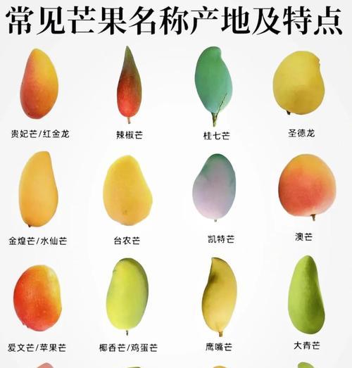 长的像芒果的观赏植物有哪些？如何区分？