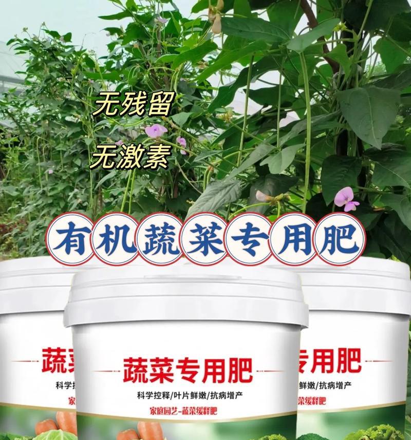 播种蔬菜用什么样的肥料？如何选择合适的肥料类型？