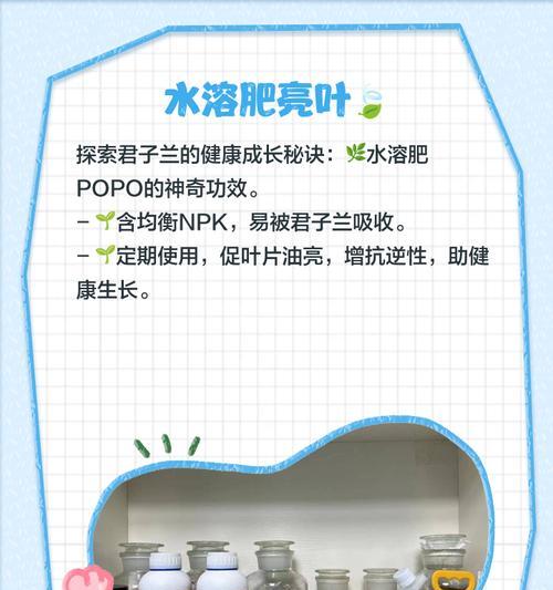 如何自制君子兰水肥料？自制肥料的步骤是什么？