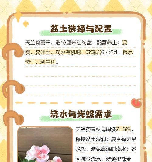 天竺葵夏天如何保养？天竺葵夏天的正确保养方法是什么？