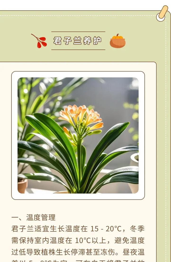 君子兰出现虫害怎么办？