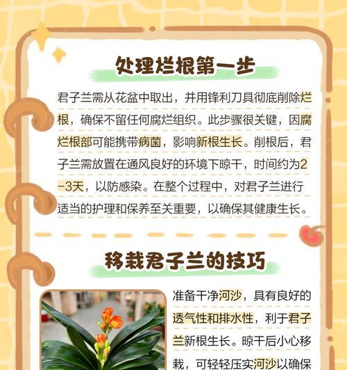 君子兰出现虫害怎么办？