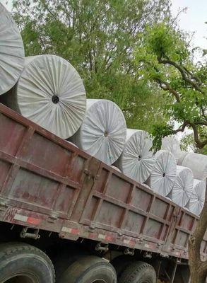 琵琶套袋栽培技术要点有哪些？如何提高成活率？