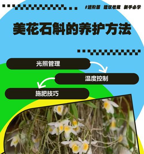 自制石斛土肥料的方法是什么？