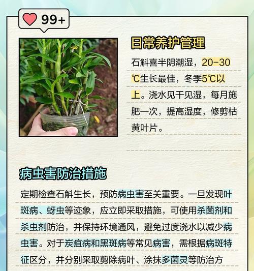 自制石斛土肥料的方法是什么？