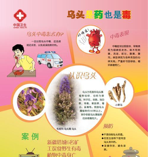 狗狗误食铁线莲中毒后应如何急救？
